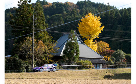 ラリージャパン【三河湖SS（三河湖観戦エリア）ポディウム付観戦券／大人４名＋こども１名（トヨタテクニカルセンター下山駐車場P&R）】5月31日（日）
