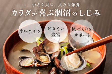 涸沼産 冷凍しじみ 大粒 1kg（100g×10p）【石岡市・水戸市共通返礼品】 しじみ シジミ 蜆 国産 小分け 砂抜き不要 冷凍 冷凍保存 海鮮 貝 魚貝類 魚介類 魚貝 魚介 味噌汁 みそ汁 酒