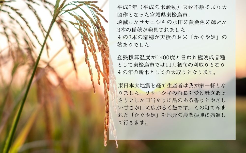 【令和7年産】 新米 宮城県産 超稀少品種 かぐや姫 精米 5kg 宮城県 東松島市 天授のお米 米 白米 こめ 宮城県 東松島市 オンラインワンストップ 対応 自治体マイページ