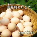 【ふるさと納税】 烏骨鶏のたまご 有精卵 12個入り たまご タマゴ 烏骨鶏 卵 玉子 卵かけご飯 玉子焼 ゆで卵