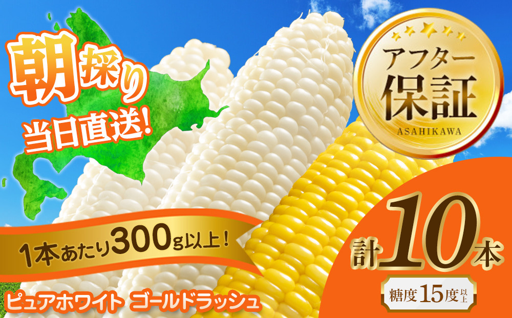 【2026年先行予約】とうもろこしコラボセット!　ピュアホワイト5本×ゴールドラッシュ5本（2026年8月下旬から発送開始予定）【 白いとうもろこし 人気 北海道産 糖度 生 野菜 スイートコーン 産地直送 バーベキュー BBQ コーン 旬 お取り寄せ 旭川市 北海道 】_03648