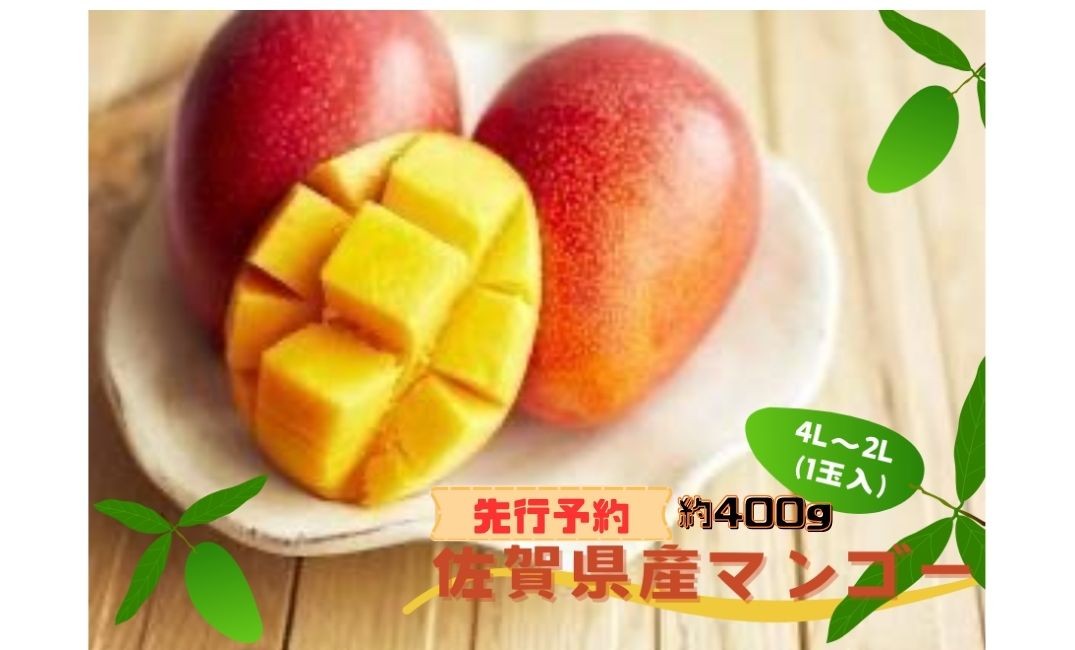 
                  ＜先行予約＞佐賀県産マンゴー約400g 4L~2L (1玉)
                