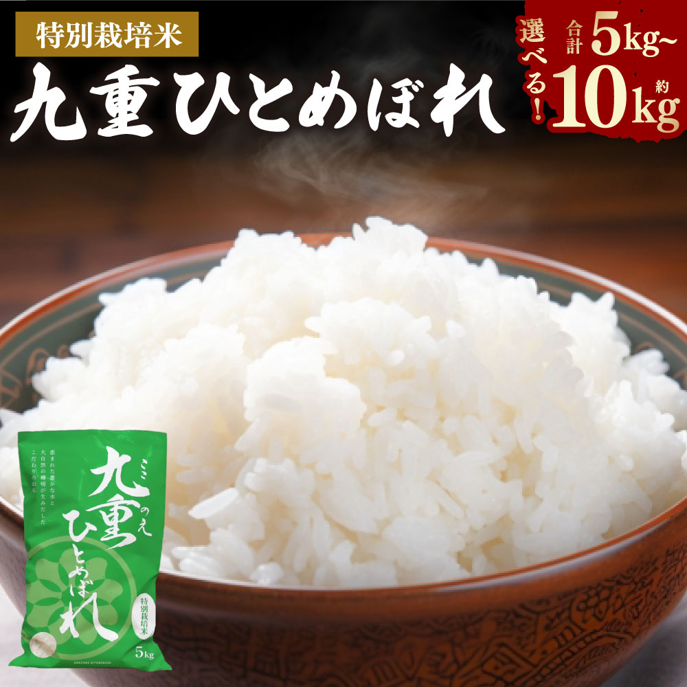 【ふるさと納税】＜選べる内容量＞九重 ひとめぼれ 5kg×1袋 / 計10kg（5kg×2袋） 令和7年産 お米 こめ 白米 精米 単一原料米 ごはん ご飯 大分県産 国産 九州 大分県 九重町 送料無料 【2025年11月上旬発送開始予定】