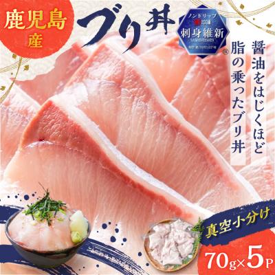 ふるさと納税 鹿児島市 【 生活応援 + マグロ中落丼 100g×1P 】 期間限定 鹿児島産 ブリ丼 70g×5セット