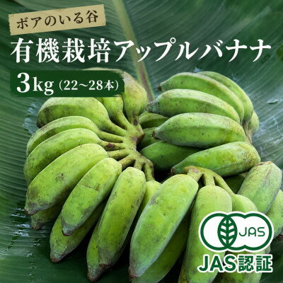 【ふるさと納税】芳醇な甘さにモッチリ食感『有機アップルバナナプレミアム(3kg)』【1534083】