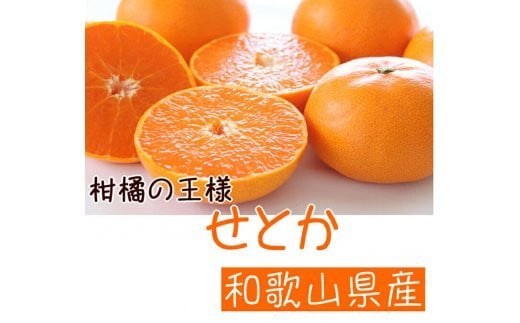 
            AB6302_【2026年先行予約】柑橘の王様 和歌山有田の 濃厚せとか 4～5kg
          