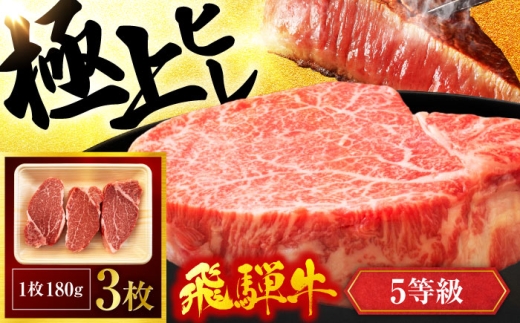 【 飛騨牛をステーキで！ 】飛騨牛 ヒレステーキ 計540g ( 180g × 3枚 ) A5ランク【有限会社マルゴー】| 飛騨牛 牛肉 和牛 黒毛和牛 銘柄牛 ブランド牛 A5 A5等級 ステーキ 赤身肉 お肉 肉 霜降り 冷凍 焼き肉 焼肉 BBQ 国産 岐阜県 ギフト 贈り物 贈答 入社祝い 入学祝い お祝い 人気 おすすめ [MBE042]