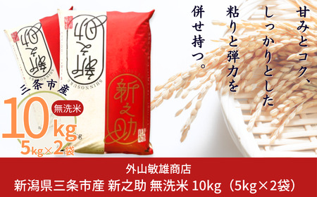 無洗米 新之助 10kg 新潟県三条市 令和7年産新之助 外山敏雄商店