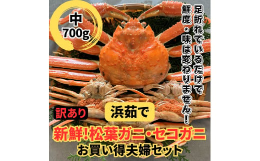 【22040】鳥取網代港【訳あり】浜茹で！松葉ガニ・セコガニ（中）岩美 松葉がに ずわいがに かに カニ 日本海【さかなや新鮮組】