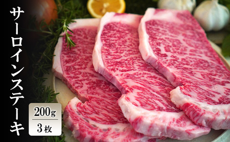 佐賀牛 サーロイン ステーキ 佐賀牛【200g×3枚】