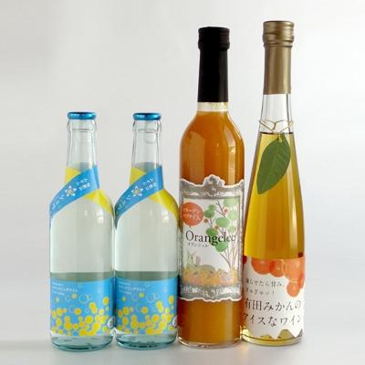 ふるさと納税 有田市 有田みかん ワイン&amp;リキュールセット