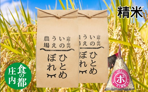 食の都庄内　【令和7年産・精米】特別栽培米ひとめぼれ5kg×2袋+つやポン《井上農場》