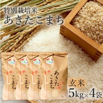 ふるさと納税 能代市 令和7年産 玄米 あきたこまち 20kg (5kg×4袋)  特別栽培米[No.5335-0356]