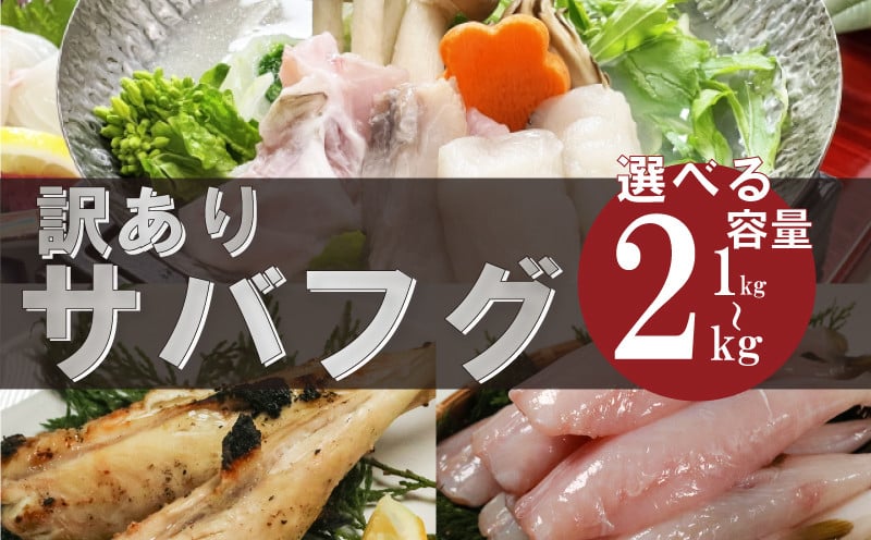 
            訳あり サバフグ 1kg～2kg 鍋 唐揚げ フグ 塩 焼き 小分け 魚 フグ 河豚 さかな フグ 魚介 海鮮 新鮮 さかな 海の幸 海産物 愛知県サバフグ フグ グリル ごはん 料理 おかず おつまみ 晩酌 愛知県南知多町サバフグ 塩焼き ふぐ冷凍 フグ 南知多町サバフグ 山庄水産株式会社 ふるさと納税サバフグ 愛知県 南知多町 人気 おすすめ 【離島不可】
          