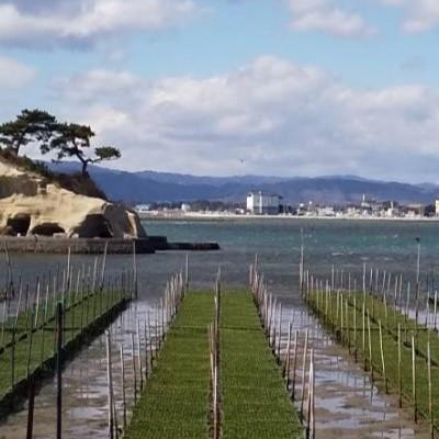 ふるさと納税 相馬市 丸永佐藤海産物店　松川浦セット |  | 01