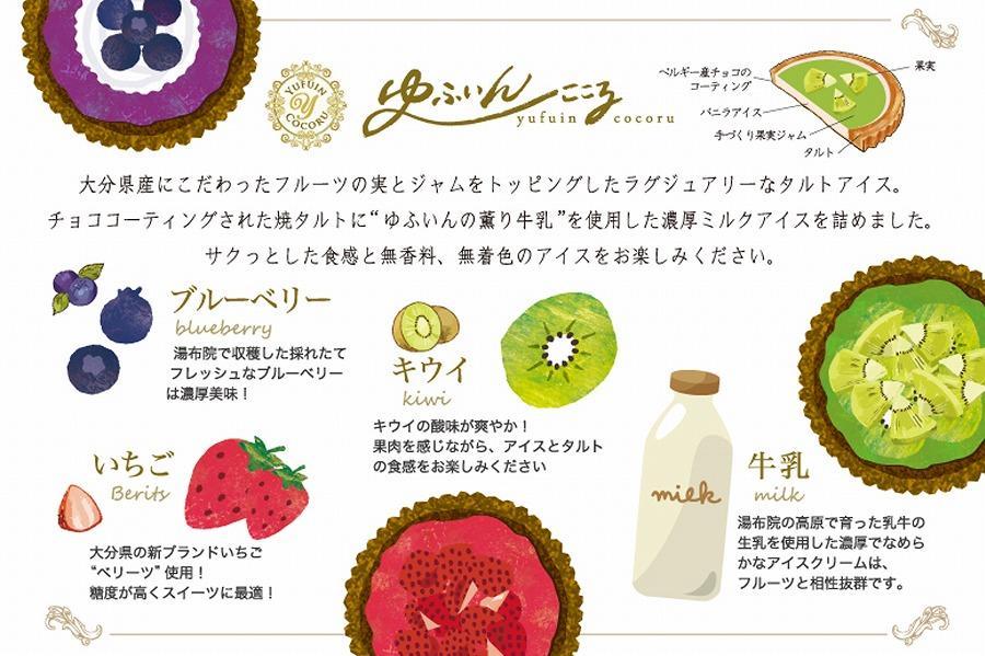 ゆふいんここる【アイスタルトケーキ】3個3種セット（ベリーツ苺・ブルーベリー・キウイ）＜ゆふいんのおいしい牛乳＞