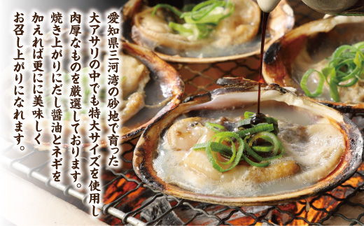 【愛知県三河産】大アサリハーフカット 6入×2パック_【G0657】
