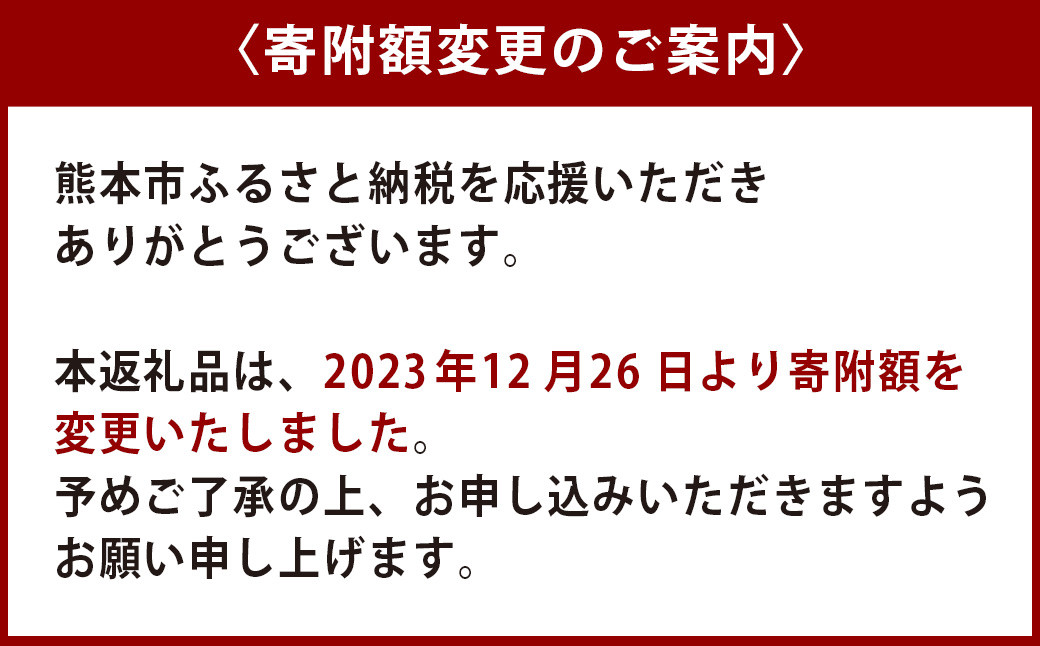 熊本 いきなり団子 20個