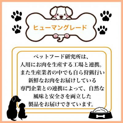 ふるさと納税 泉南市 ペットフード研究所　国産無添加 鹿スジジャーキー50g |  | 03