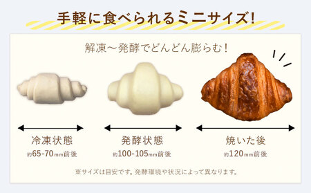 ミニクロワッサン 25個 セット パン ローカルベーカリー《7-14営業日以内に出荷予定(土日祝除く)》急速冷凍 手作り 朝ごはん おやつ 軽食 ランチ 北海道 本別町