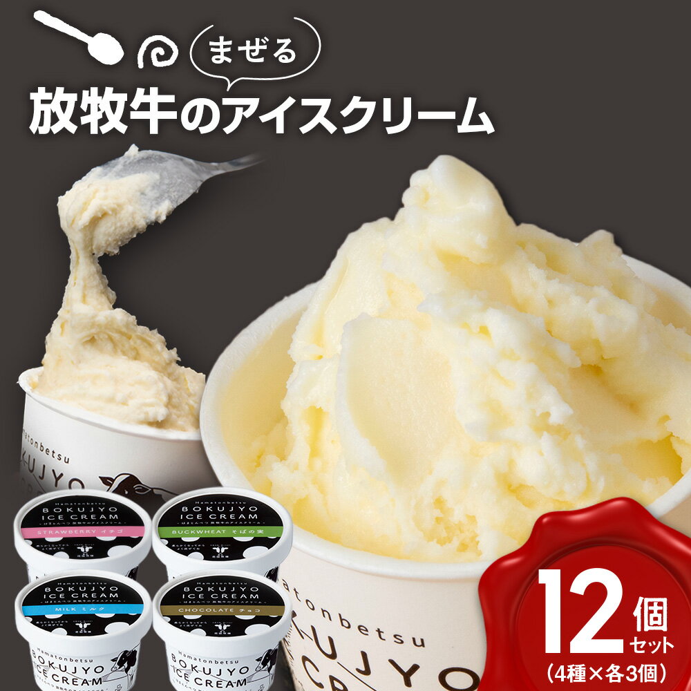 【ふるさと納税】 放牧牛 アイスクリーム 4種類 各3個 計12個 【池田牧場】 アイス 冷凍 ギフトミルク チョコ イチゴ そばの実 食べ比べ 卵不使用 北海道ふるさと納税 ふるさと納税 北海道 浜頓別 通販 贈答品 贈り物