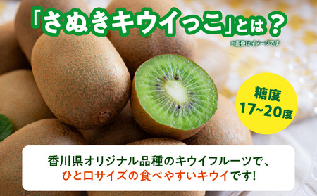 【先行予約】 さぬきキウイっこ5.0kg【香川県共通返礼品】|キウイ 果物 フルーツ デザート 旬 旬の果物 季節 季節の果物 人気 おすすめ 贈り物 贈答 プレゼント ご褒美 キウイフルーツ さぬき