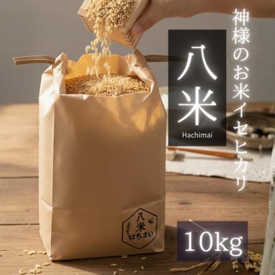 ふるさと納税 山口市 ミツバチと地球の未来を守るお米【八米】玄米10キログラム B095