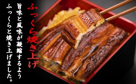 鰹のたたき 1節 うなぎの蒲焼き 1尾｜鰹 かつお 国産うなぎ