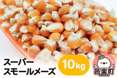 スーパースモールメーズ 10kg×1袋 サイトウ・コーポレーション 飼料