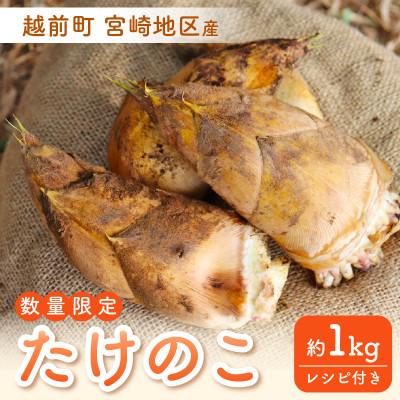ふるさと納税 越前町 越前町宮崎地区産 たけのこ 約1kg