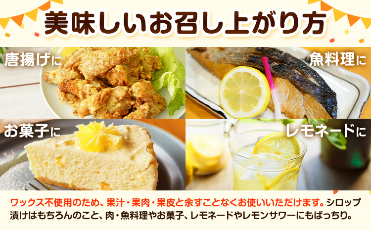 紀州和歌山 有田レモン 約3kg 有田マルシェ《2026年9月下旬-2027年2月下旬頃発送予定》和歌山県 日高町 れもん 檸檬 フルーツ ギフト 送料無料