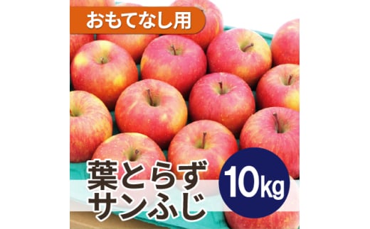 ＜2025年11月発送予定＞平均糖度13度以上! 葉とらずサンふじ 約10kg おもてなし用【1607466】