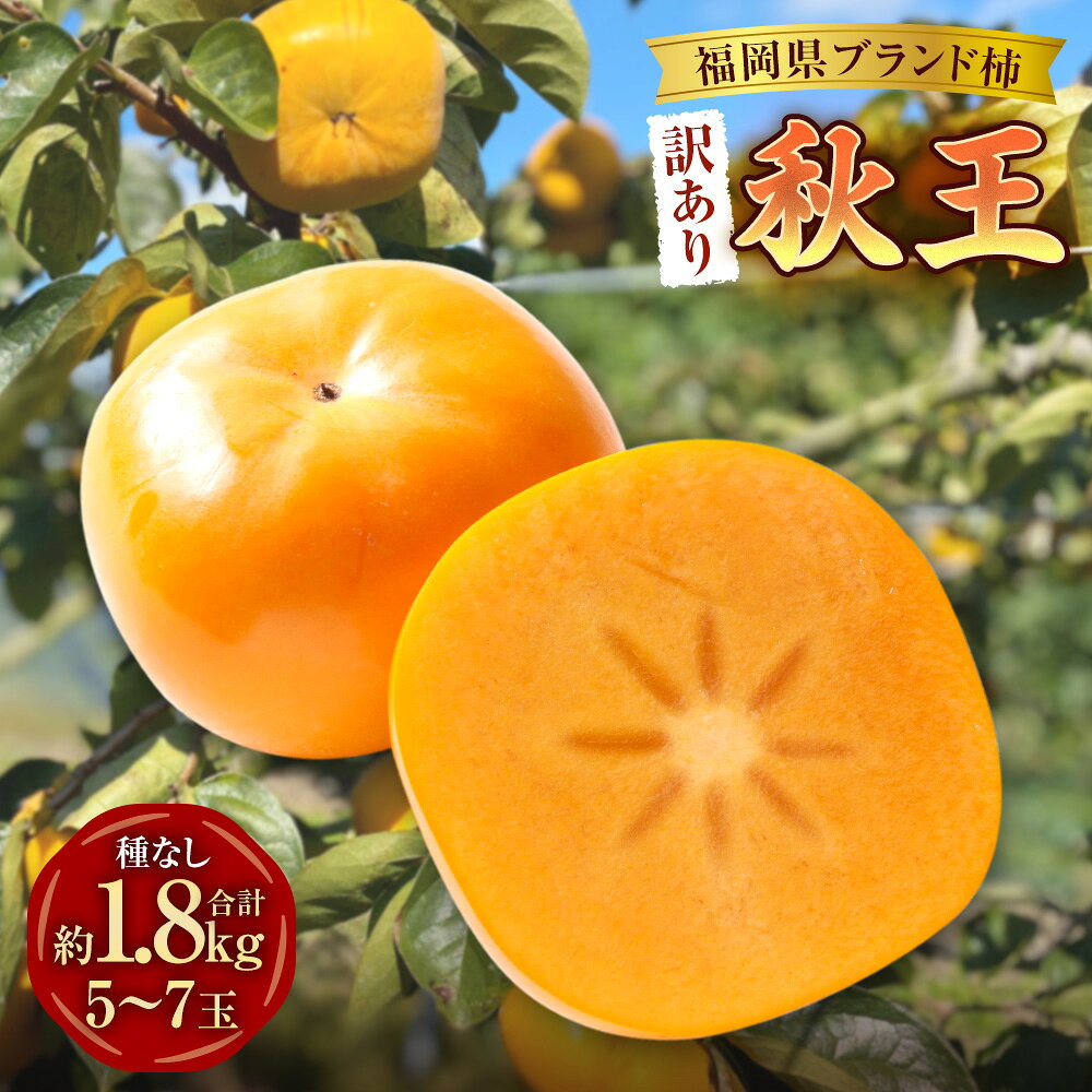【ふるさと納税】【訳あり品】福岡県ブランド柿 秋王 訳あり品 5～7玉 約1.8kg 種無し 柿 かき カキ フルーツ くだもの 果物 果実 冷蔵 福岡県産 国産 九州 福岡県 苅田町 送料無料 【2026年11月上旬～11月下旬発送予定】