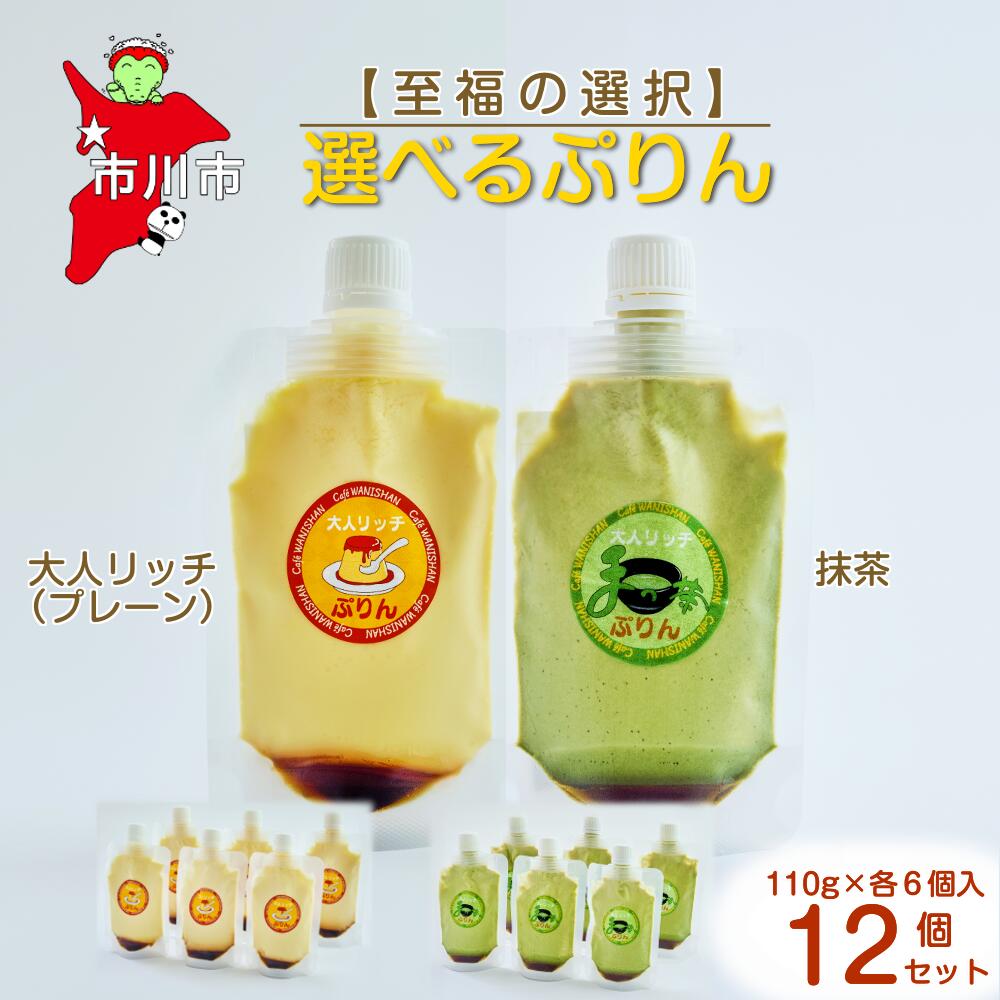 【ふるさと納税】【至福の選択】選べる12個セット（大人リッチ×抹茶）ぷりん　【12203-0350】 Cafe WANISHAN プリン パウチタイプ 飲めるぷりん デザート スイーツ ゼラチン不使用 とろとろ 贅沢 できたて ギフト プレゼント 市川市 千葉県