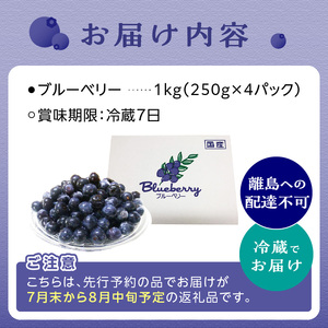 先行予約 国産 ブルーベリー 1kg 生ブルーベリー 木津川市産 小分け 便利 新鮮な ブルーベリー 080-01