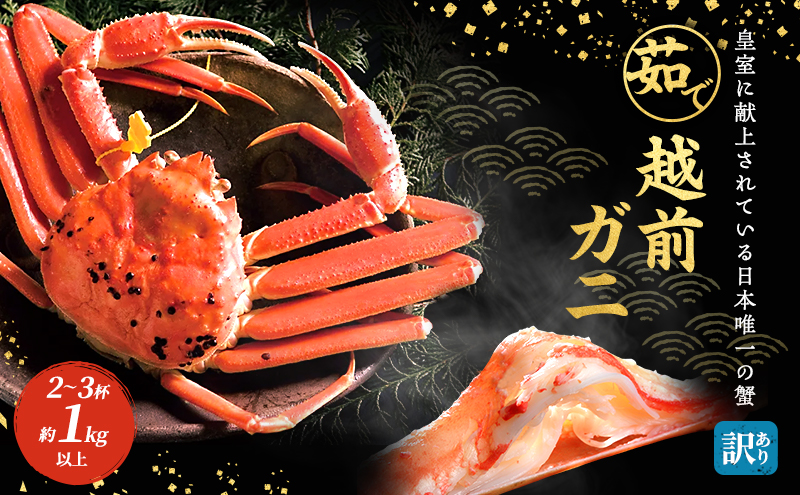 かに 訳あり 期間限定 茹で 越前ガニ 約1kg以上2～3杯 ボイルカニ ボイル 魚介 魚介類