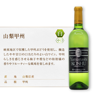 ワイン ロリアン 勝沼甲州・山梨甲州 2本セット（MG）C-693