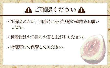 福岡県ブランドいちじく「博多とよみつひめ」300g×4パック [M775-1] 福岡県限定 果肉 上品 甘い なめらか食感 糖度17度 フルーツ 果物