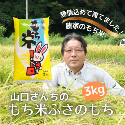 ふるさと納税 多古町 多古米農家 山口さんちのもち米3kg 千葉県奨励品種ふさのもち