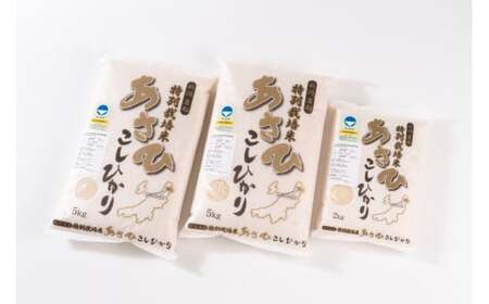 【令和7年産米】【6ヶ月定期便】 新潟県村上市産 特別栽培米 コシヒカリ 72kg （12kg×6ヶ月）コース 1027031