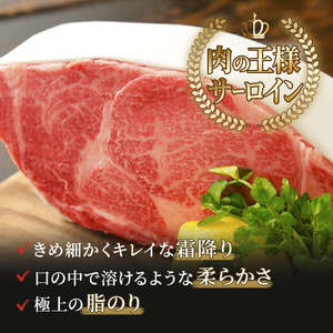 ふるさと納税　飛騨牛 牛肉 ステーキ 豪華セット ヒレ 150g×8枚 サーロイン 180g×5枚 計2.1kg 和牛 