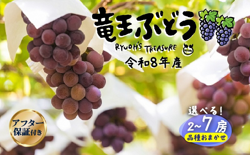 
                  期間限定 ぶどう 2～7房 園主 おすすめ 詰め合わせ 葡萄 ブドウ マスカット 巨峰 シャインマスカット  デラウェア アーリースチューベン ベリーA サニールージュ ピオーネ シナノスマイル 安芸クイーン 甲斐美嶺 竜宝 高墨 数量限定 品種 おまかせ 数量限定 品種 夏 秋 フルーツ ふるーつ 果実 くだもの 竜王産 滋賀県 竜王町 送料無料 ふるさと納税
                