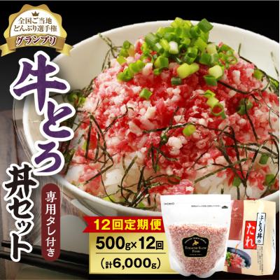 ふるさと納税 清水町 【12回定期便】受賞歴多数!清水町1番人気の牛とろフレーク 500g 専用タレ付き