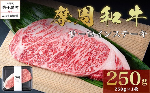 
                  3738.摩周和牛 サーロインステーキ 250g
                