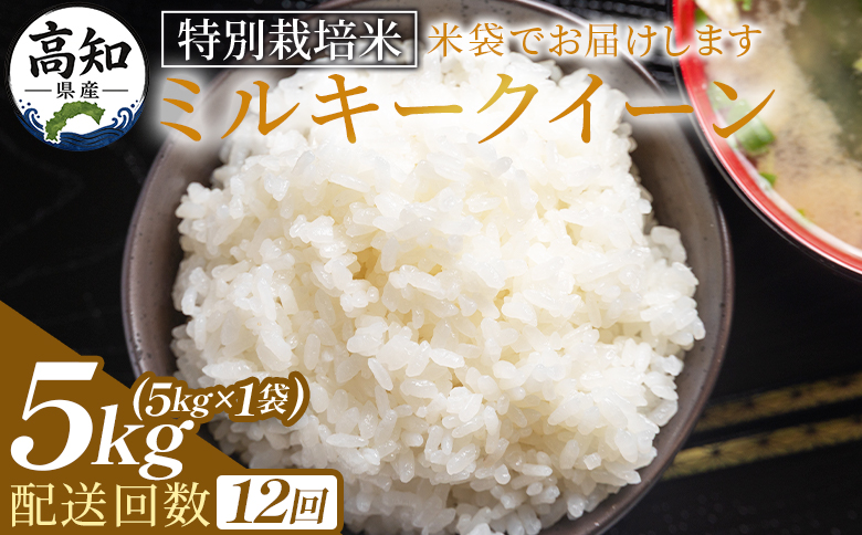 【12回定期便】特別栽培米 ミルキークイーン ５ｋｇ 令和８年産 Wsr-0007
