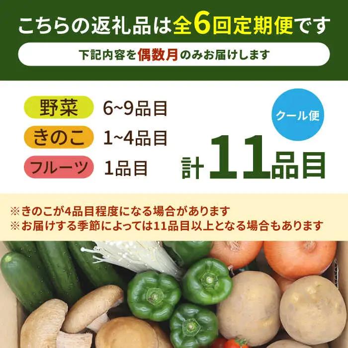 【6回定期便 偶数月コース】野菜 キノコ 果物 11品目 詰め合わせ  当日仕入れ当日発送！ / 野菜 定期便 / 吉岡青果 [SCZ006] 
