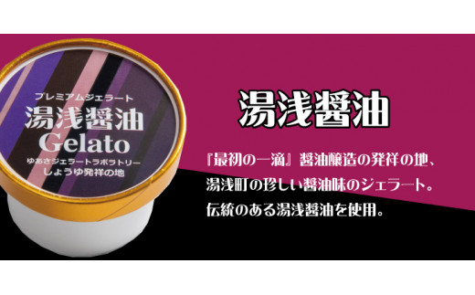 プレミアムジェラート 湯浅醤油12個セット アイスクリームセット 100mlカップ ゆあさジェラートラボラトリー【ntb700-05】
