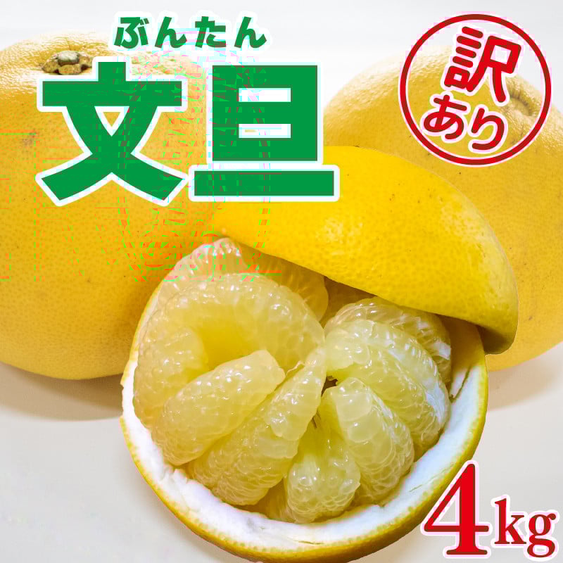 
訳あり 文旦 柑橘 ブンタン 4kg 家庭用 数量限定 蜜柑 みかん 果物 フルーツ 阿波市 徳島県
