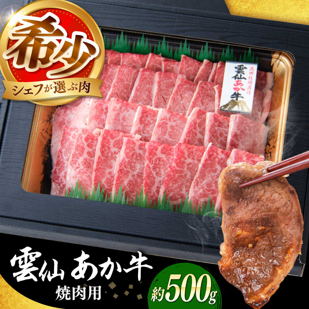 【ふるさと納税】【希少】雲仙 あか牛 焼肉用 500g / 国産 長崎和牛 牛 牛肉 冷凍 / 南島原市 / 株式会社高田牧場[SGQ007]