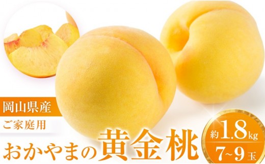 【先行受付】数量限定 おかやまの黄金桃1.8kg (ご家庭用)【岡山 もも 桃 おうごんとう ゴールデンピーチ 果物 フルーツ 甘い おいしい 人気 おすすめ 岡山県 モモ 家庭用】